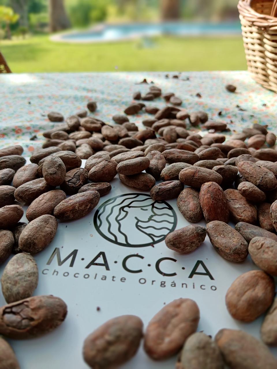 WhatsApp Image 2025-01-31 at 20.10.04 (1)